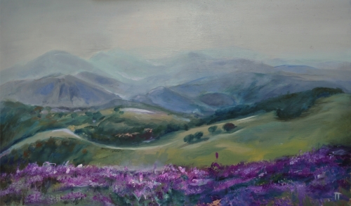 Monte Nerone - olio su tavola, cm 30x50