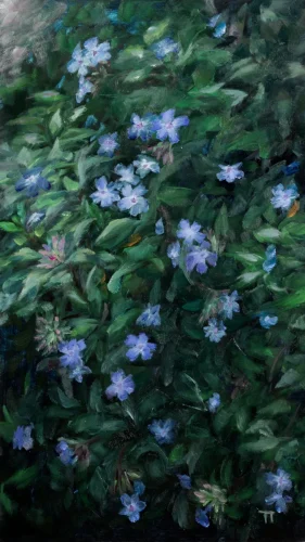 2-uncertainty-cerato