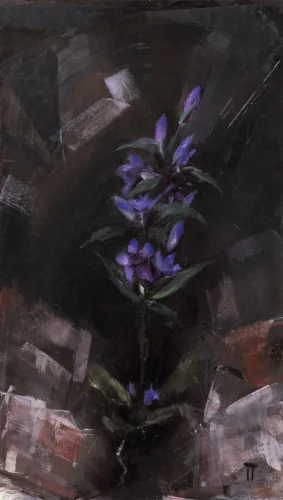 2-uncertainty-gentian