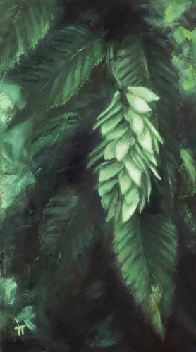 Hornbeam - olio su pannello - cm 20x35