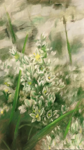 Scleranthus - olio su pannello - cm 20x35