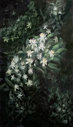 Clematis - olio su pannello - cm 20x35