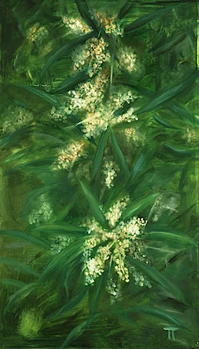 Olive - olio su pannello - cm 20x35