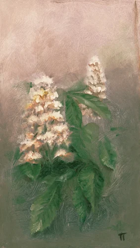 White chestnut - olio su pannello - cm 20x35