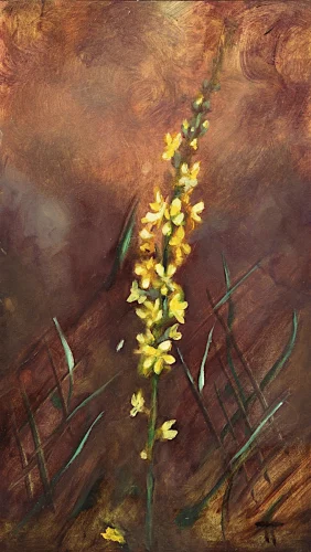 Agrimony - olio su pannello - cm 20x35