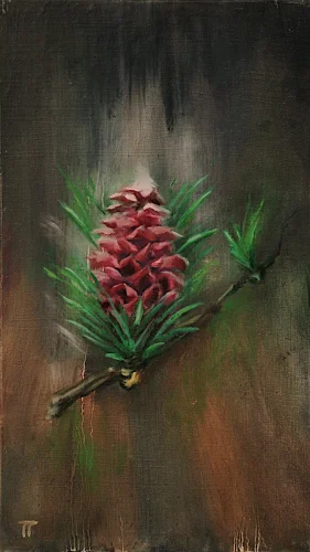Larch - olio su pannello - cm 20x35