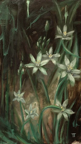 Star of Bethlehem - olio su pannello - cm 20x35