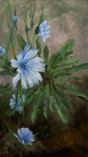 Chicory - olio su pannello - cm 20x35