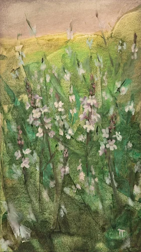 Vervain - olio su pannello - cm 20x35